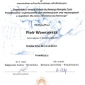 Powiększ obraz: certificate 13