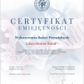 Powiększ obraz: certificate 1