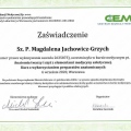 Powiększ obraz: certificate 13