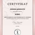 Powiększ obraz: certificate 10
