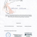 Powiększ obraz: certificate 2