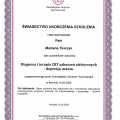 Powiększ obraz: certificate 2
