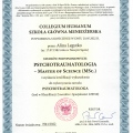 Powiększ obraz: certificate 43