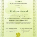 Powiększ obraz: certificate 3