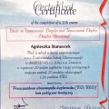 Powiększ obraz: certificate 8