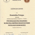 Powiększ obraz: certificate 11