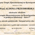 Powiększ obraz: certificate 11