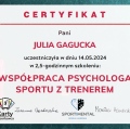 Powiększ obraz: certificate 11