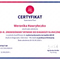 Powiększ obraz: certificate 2