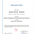 Powiększ obraz: certificate 3
