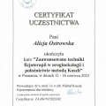 Powiększ obraz: certificate 1