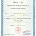 Powiększ obraz: certificate 13