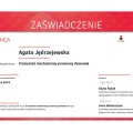 Powiększ obraz: certificate 5
