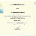 Powiększ obraz: certificate 3