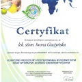 Powiększ obraz: certificate 2