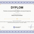 Powiększ obraz: certificate 31