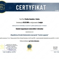 Powiększ obraz: certificate 10