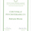 Powiększ obraz: certificate 3