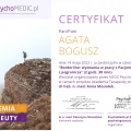 Powiększ obraz: certificate 9