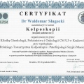 Powiększ obraz: certificate 1
