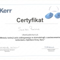 Powiększ obraz: certificate 11