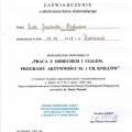 Powiększ obraz: certificate 42