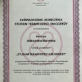 Powiększ obraz: certificate 3