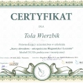 Powiększ obraz: certificate 11