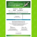 Powiększ obraz: certificate 2