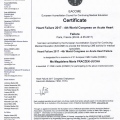 Powiększ obraz: certificate 8