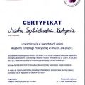 Powiększ obraz: certificate 2