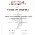 Powiększ obraz: certificate 13