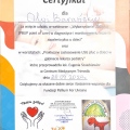 Powiększ obraz: certificate 7