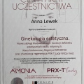 Powiększ obraz: certificate 6