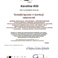 Powiększ obraz: certificate 38