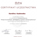 Powiększ obraz: certificate 23