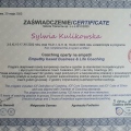 Powiększ obraz: certificate 4