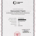 Powiększ obraz: certificate 1