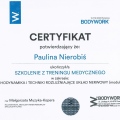 Powiększ obraz: certificate 8