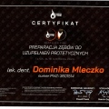 Powiększ obraz: certificate 8