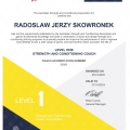Powiększ obraz: certificate 4