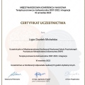 Powiększ obraz: certificate 7