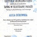 Powiększ obraz: certificate 8