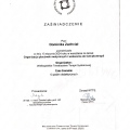 Powiększ obraz: certificate 11