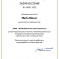 Powiększ obraz: certificate 1