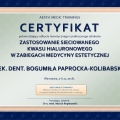 Powiększ obraz: certificate 5