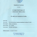 Powiększ obraz: certificate 13