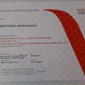 Powiększ obraz: certificate 4