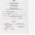 Powiększ obraz: certificate 1