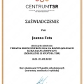 Powiększ obraz: certificate 1